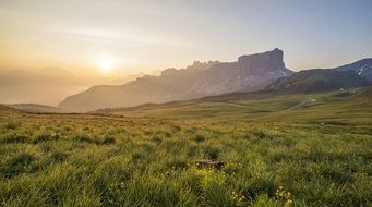 landscape nature beautiful green field sunlight
