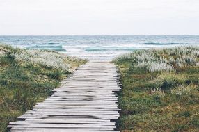 wooden ocean pier