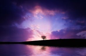 Amazing purple sunset in summertime