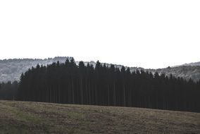 grass field landscape