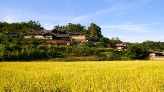 the village of Yangdong