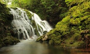 waterfall among green forest