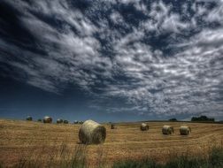 hay on the field