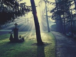 cemetery glow sunshine surreal scene