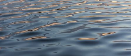 golden ripples on blue water surface