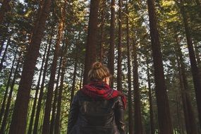 beautiful girl is walking in the forest