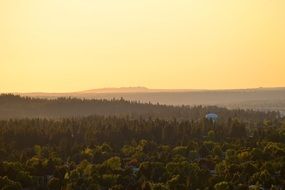panorama of the forest in the rays of sunset