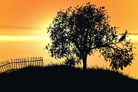 cat on a tree at sunset