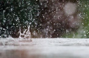 Closeup photo of drop of water