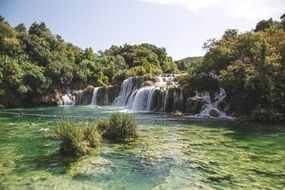 waterfall in a jungle