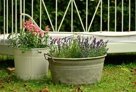 floral decoration for the garden