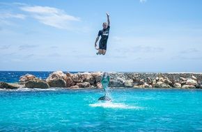 Man jumping with dolphin in water