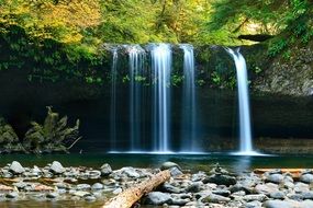 Waterfall on the rocks in the forest