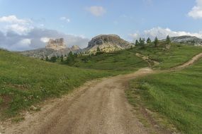 Scenic view of the road