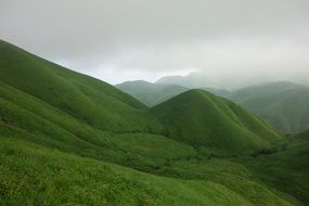 green wugongshan mountains