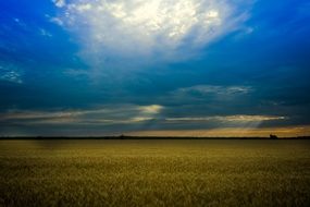 wheat field beneath stormy clouds, moldova, stefan voda