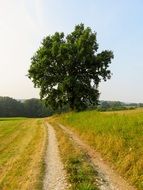 empty country road