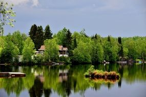 mirror reflection of green trees in the lake