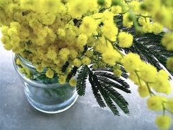 yellow bouquet