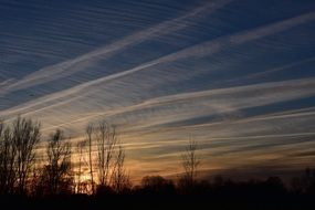 sunset sky evening clouds outlines of trees