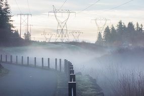 Beautiful road among the plants and powerlines in the mist