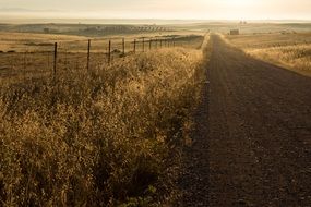 dirt road near the field