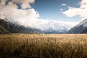farm fields on a background of mountains