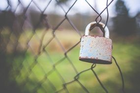 rusty lock on a wire rack in a pasture