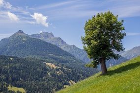 Summer in Carinthia