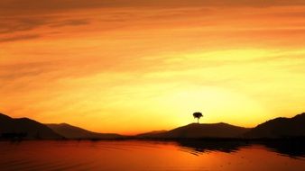 silhouette of a lonely tree on a mountain by the lake