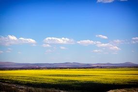 delightful landscape over the fields in california