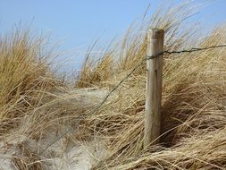 sand beach on baltic sea