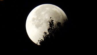 full moon in darkness