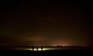 three men in a filed at night