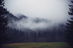 scenic countryside covered with fog