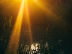 sun rays through the twilight at sunset