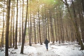 man walks along a snowy path in the spring forest on a sunny day