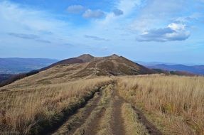 field landscape in Bieszczady
