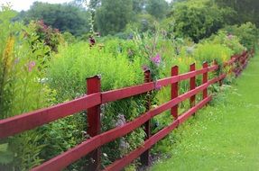 red wooden fence at garden