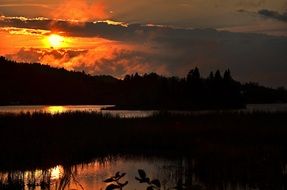 golden sunset over a forest lake