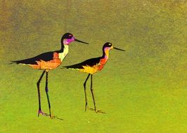 birds abstract drawing