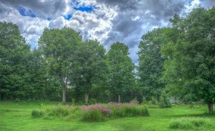 Green garden landscape Clouds in sky