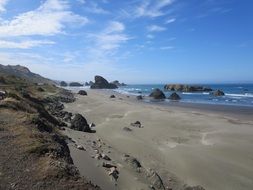 Landscape Picture of oregon coast