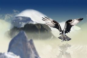 Landscape with the white tailed eagle