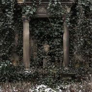 old gloomy crypt in the cemetery