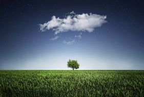 white cloud over a lone tree on a green meadow