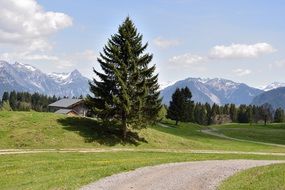 road in green field landscape alpe mountains