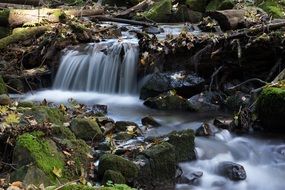 small waterfall in forest