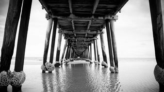 under wooden pier black white photo