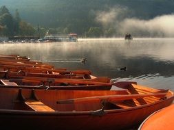 yellow rowing boats on a foggy lake